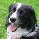 Sophie was adopted in August, 2004
